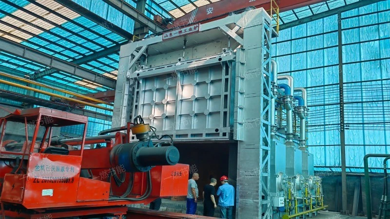 Regenerative natural gas tube heating furnace